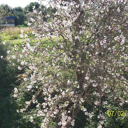 Casa Vacanze Mandorlo In Fiore Villa Avola Kültér fotó