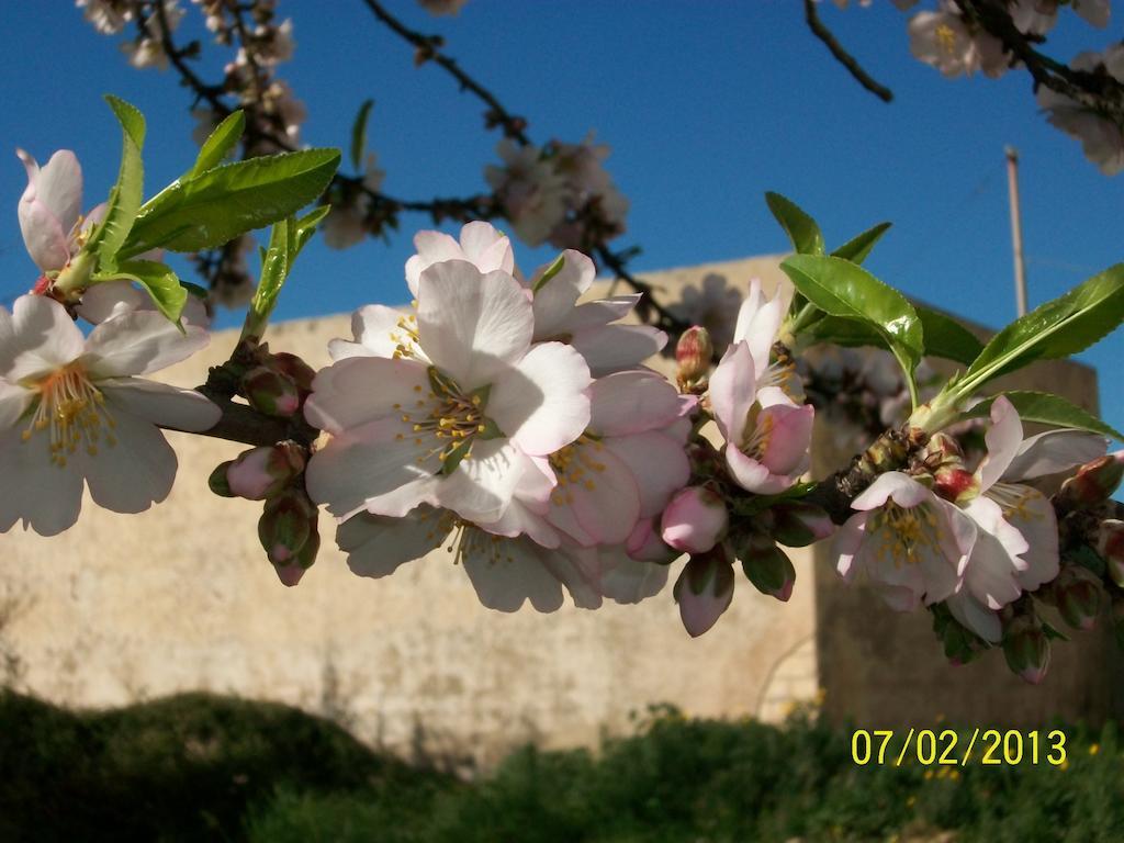 Casa Vacanze Mandorlo In Fiore Villa Avola Kültér fotó