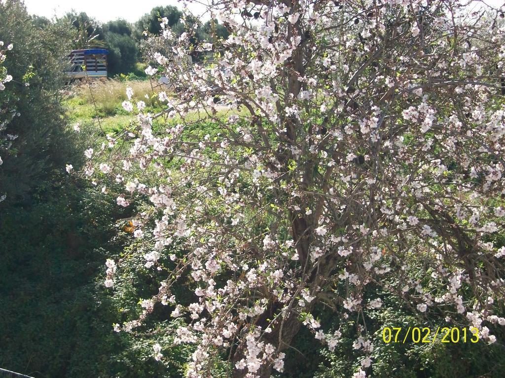 Casa Vacanze Mandorlo In Fiore Villa Avola Kültér fotó